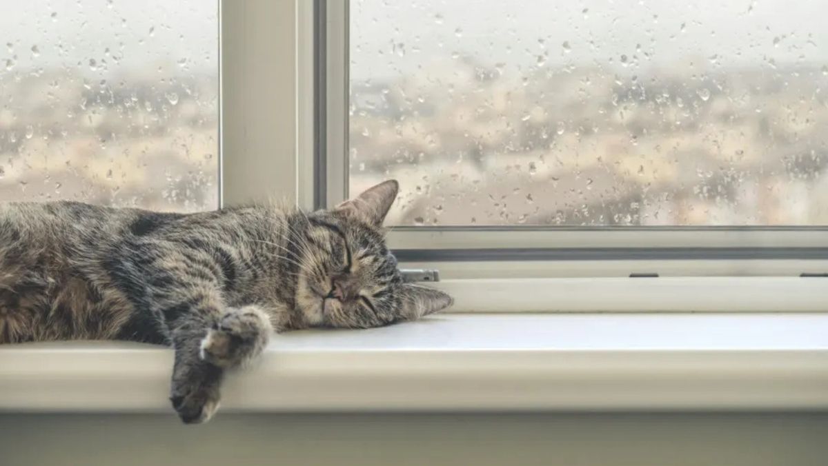 Meteorologii prognozează pentru astăzi ploi și temperaturi maxime de până la 15 grade Celsius