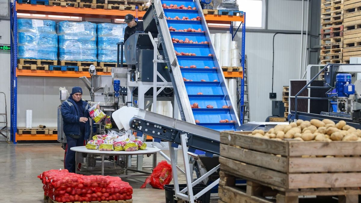 Peste 550 de companii din R. Moldova au beneficiat de compensații la energie în valoare de 24,5 milioane de lei