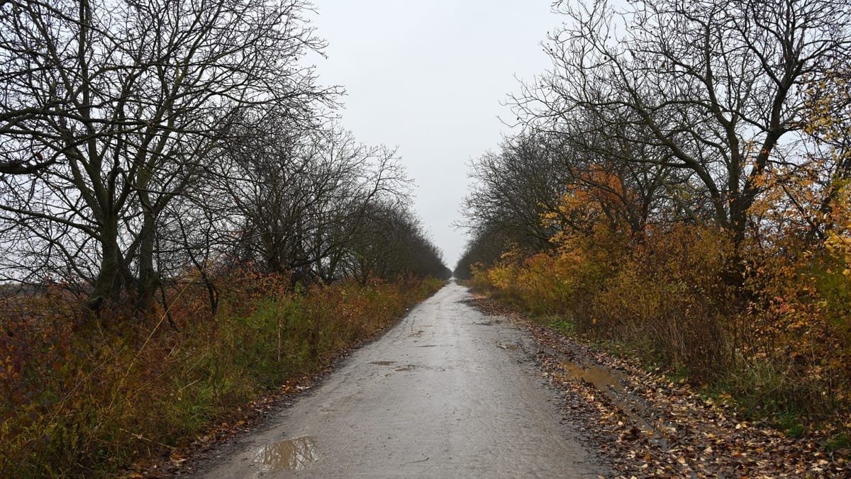 Ploi și vreme posomorâtă în toată țara. Temperaturile maxime vor urca până la +12 grade Celsius