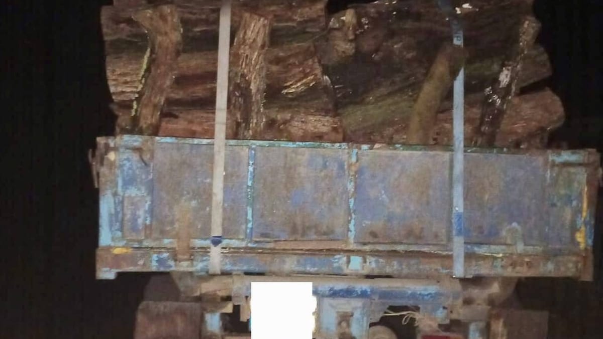 Transport de lemne cu acte expirate la Glodeni. Poliția de Frontieră a sesizat Inspectoratul pentru Protecția Mediului