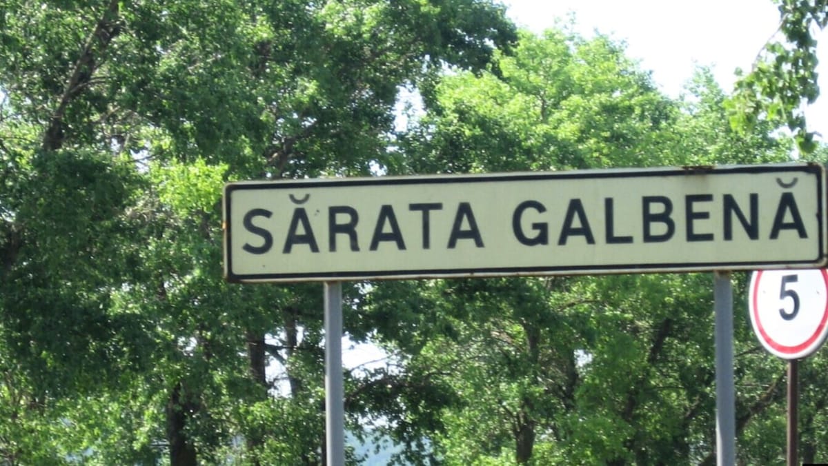 Cadavrul unui bărbat dispărut vara, găsit într-o pădure din raionul Hîncești. Ce spune Poliția