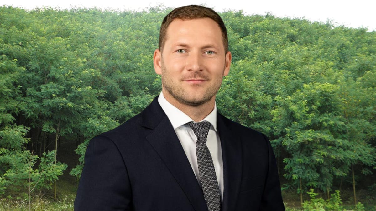 VIDEO/ Autoritățile vor continua să planteze salcâmi. Ministrul Mediului explică de ce