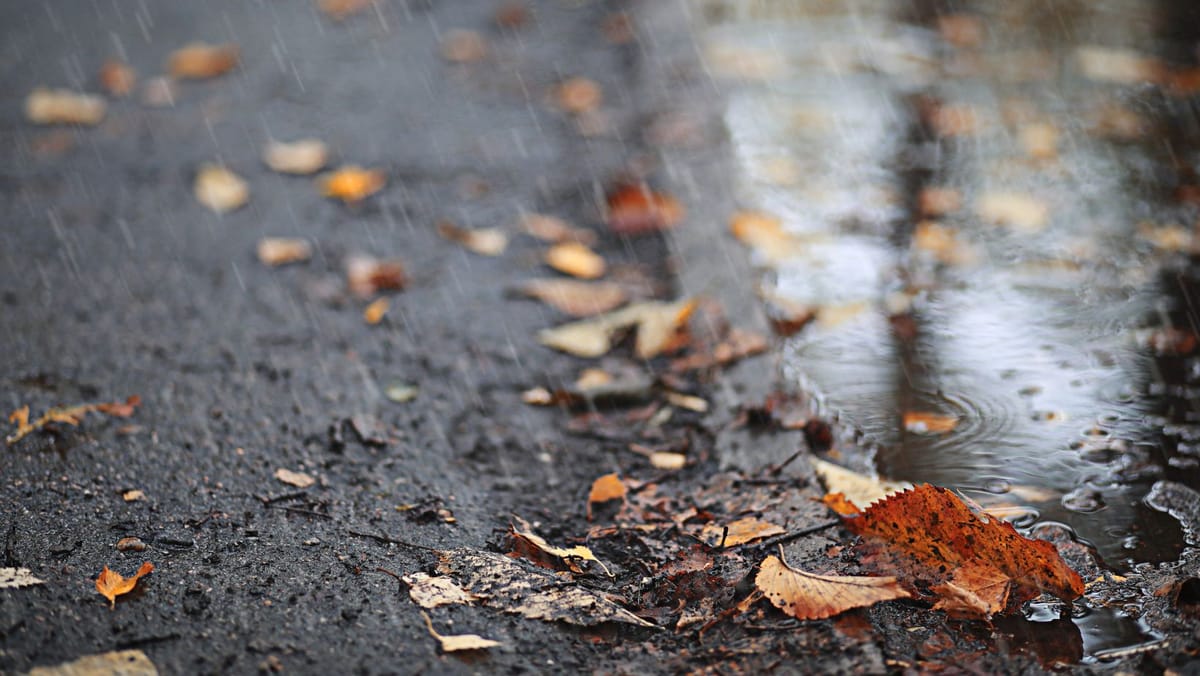 Meteorologii anunță ploi slabe și vânt moderat. Temperaturile rămân ridicate pentru mijloc de decembrie