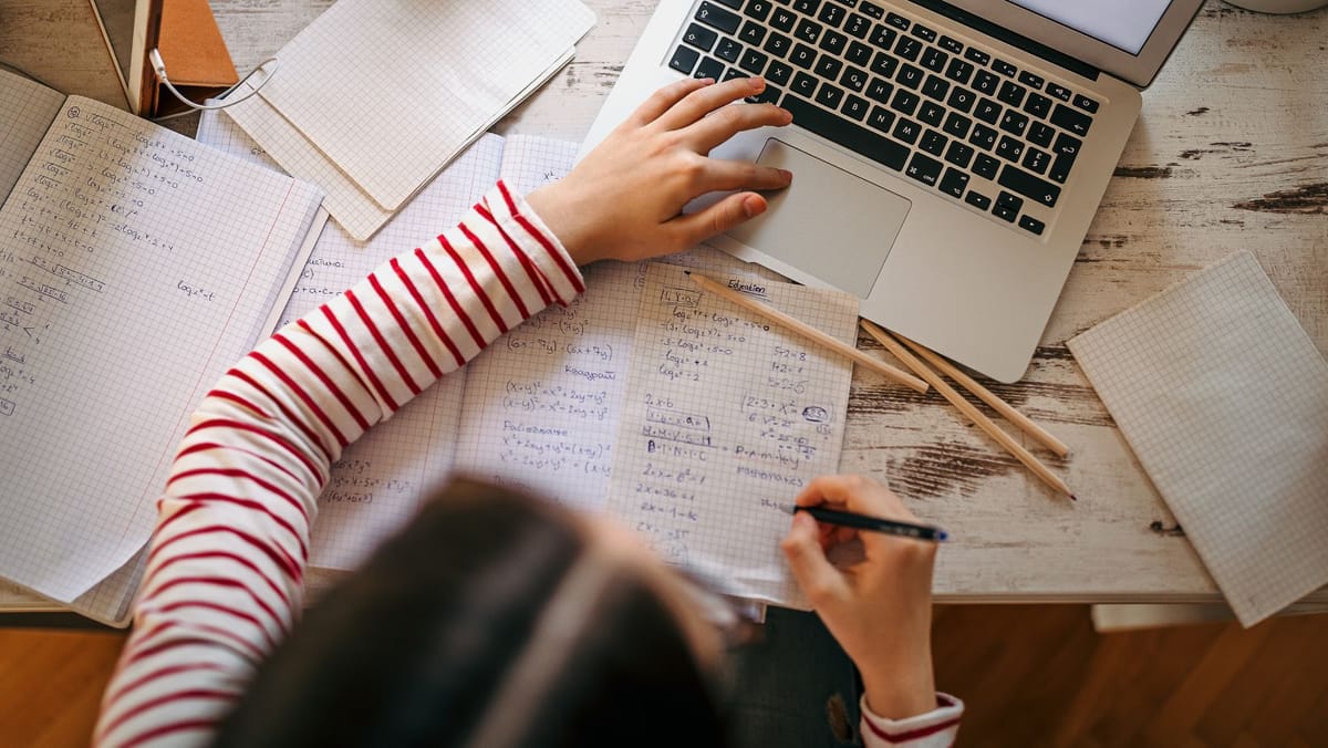 Condițiile meteo dau peste cap programul școlar și în regiunea transnistreană. Școlile și universitățile vor fi închise luni
