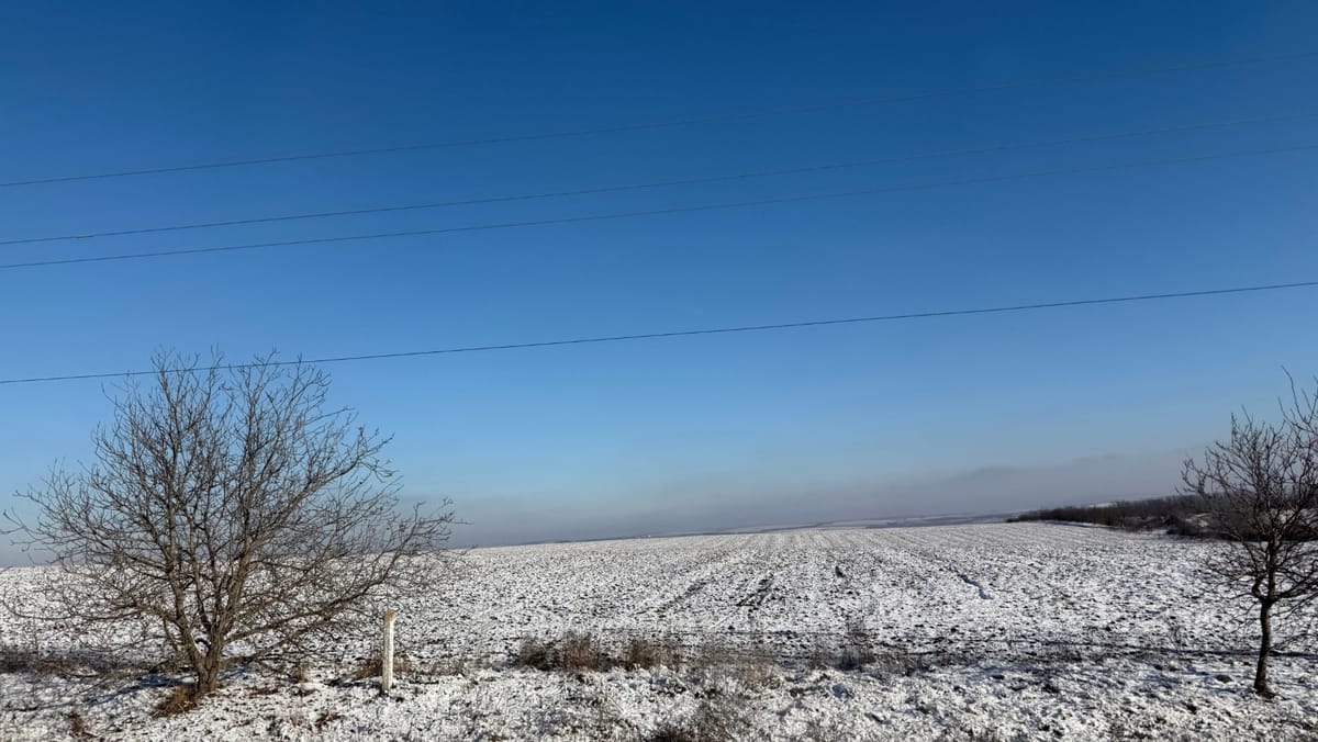 Zăpada și înghețurile de iarnă, un sprijin pentru agricultură: rezerve mai mari de apă în sol și mai puțini dăunători