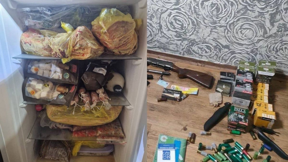 Doi bărbați riscă până la trei ani de pușcărie pentru braconaj -  frigiderul plin de carne, arme și muniții