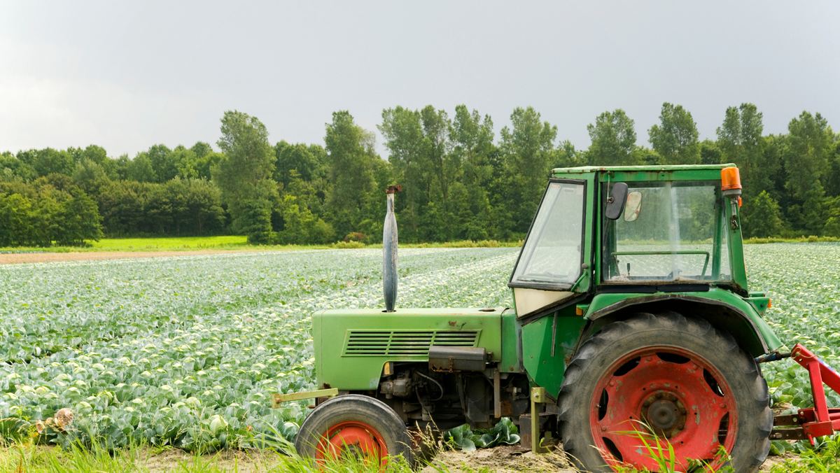 Primăvara aduce oportunități pentru agricultori: credite IFAD pentru investiții inteligente