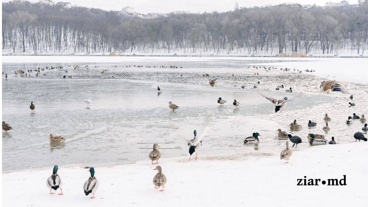 Temperaturi extrem de scăzute în Republica Moldova - Prognoza meteo pentru astăzi, 3 februarie