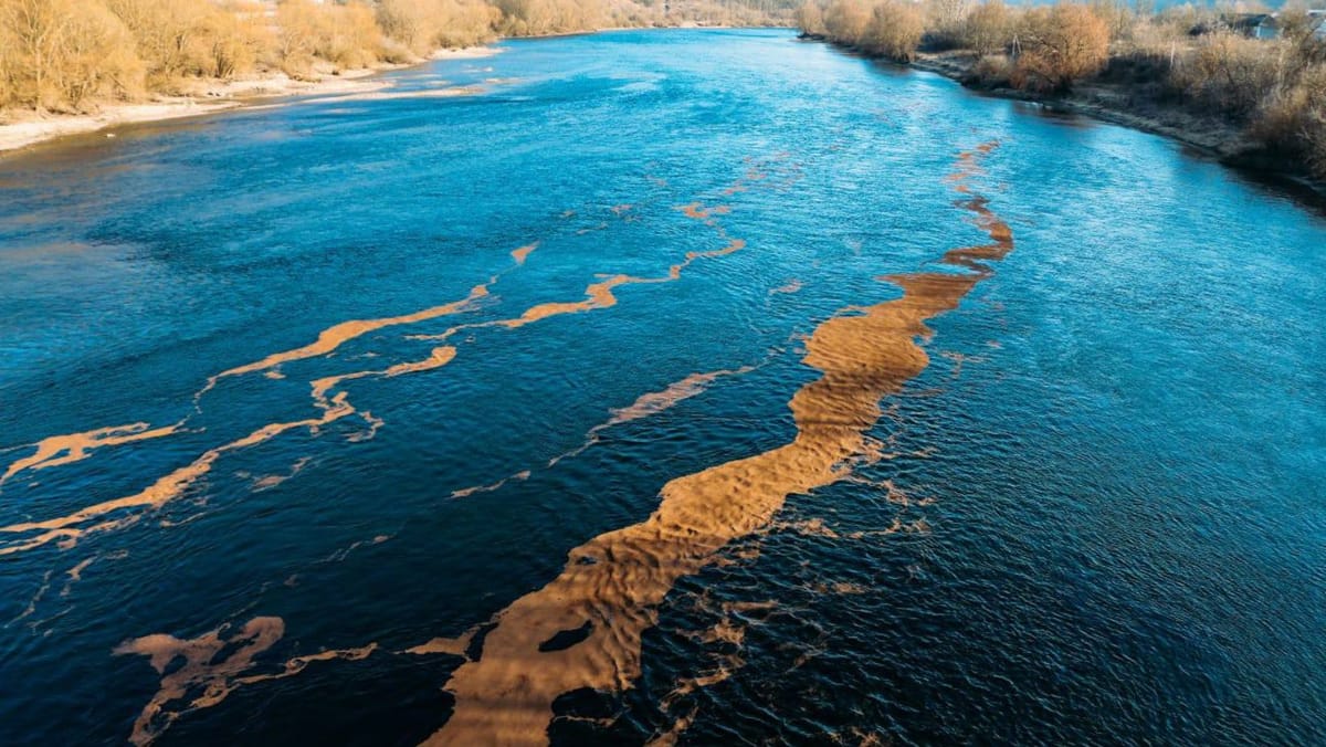 Proces penal după poluarea râului Nistru: Procuratura Generală investighează cazul