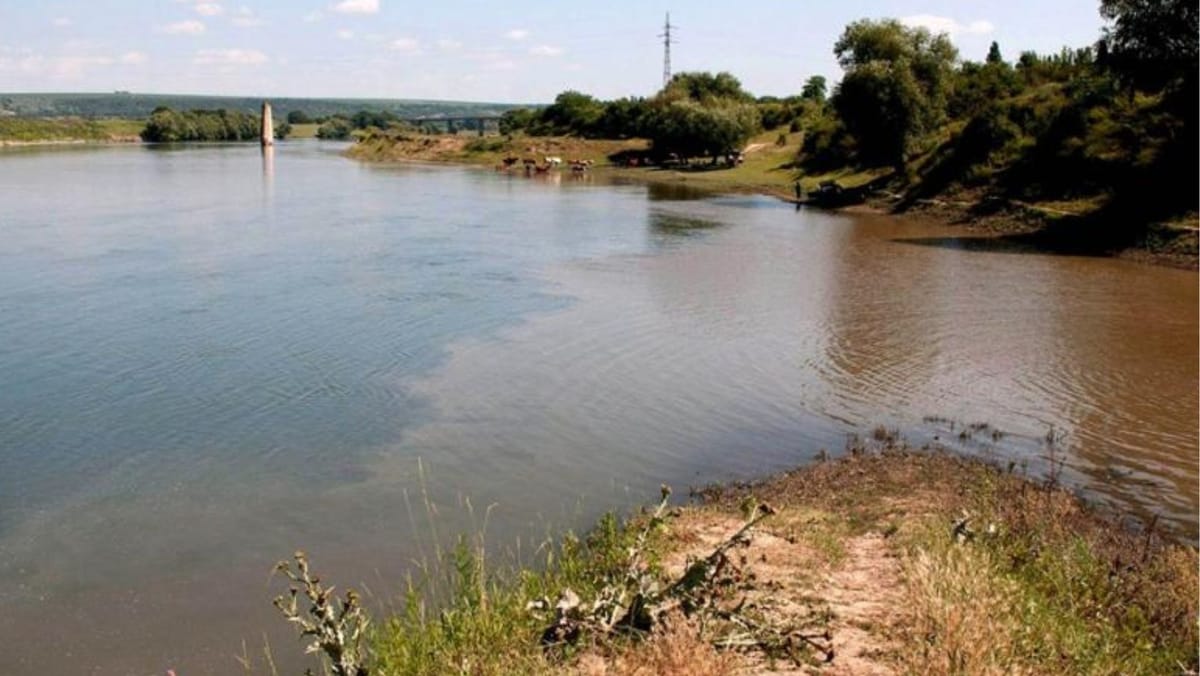 VIDEO/ Urme de petrol depistate în Nistru: ce arată rezultatele de laborator