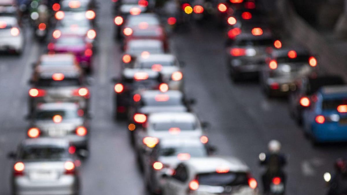 Ministrul Energiei din Danemarca îi roagă pe cetățeni să meargă pe jos din cauza scumpirilor: „Vă rog, vă rog, vă rog”