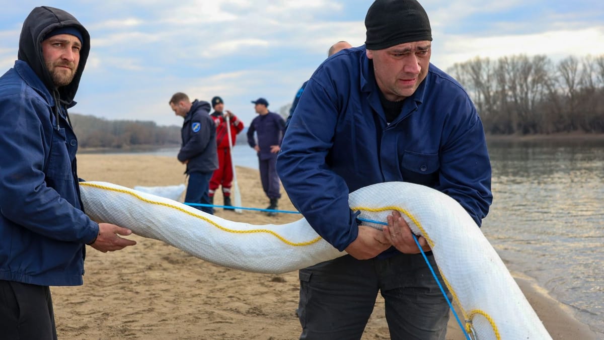 România a livrat noi materiale pentru stoparea poluării Nistrului. Expert: Petrolul, pericol și pentru sistemul acvatic