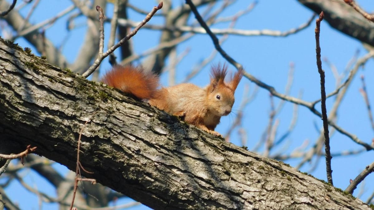 Cer variabil la nord și nori la sud. Tabloul meteorologic pentru ziua de 27 martie
