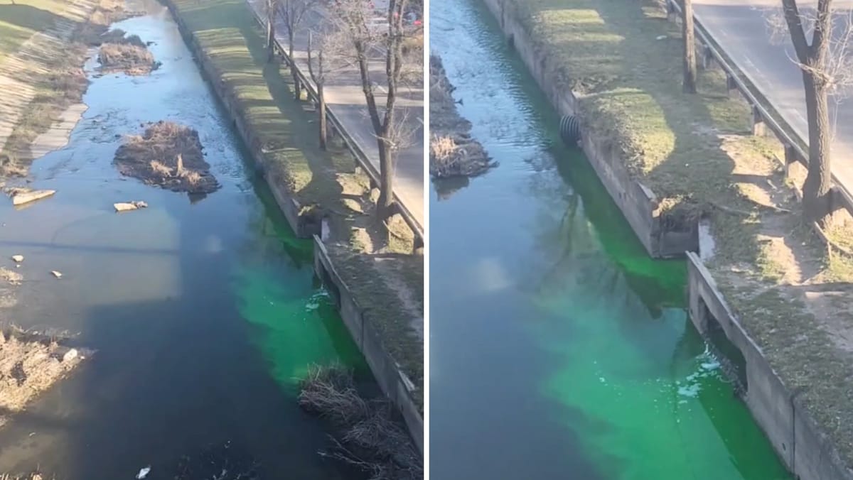 VIDEO/ Apa verde observată în râul Bîc nu este poluare. Autoritățile explică fenomenul