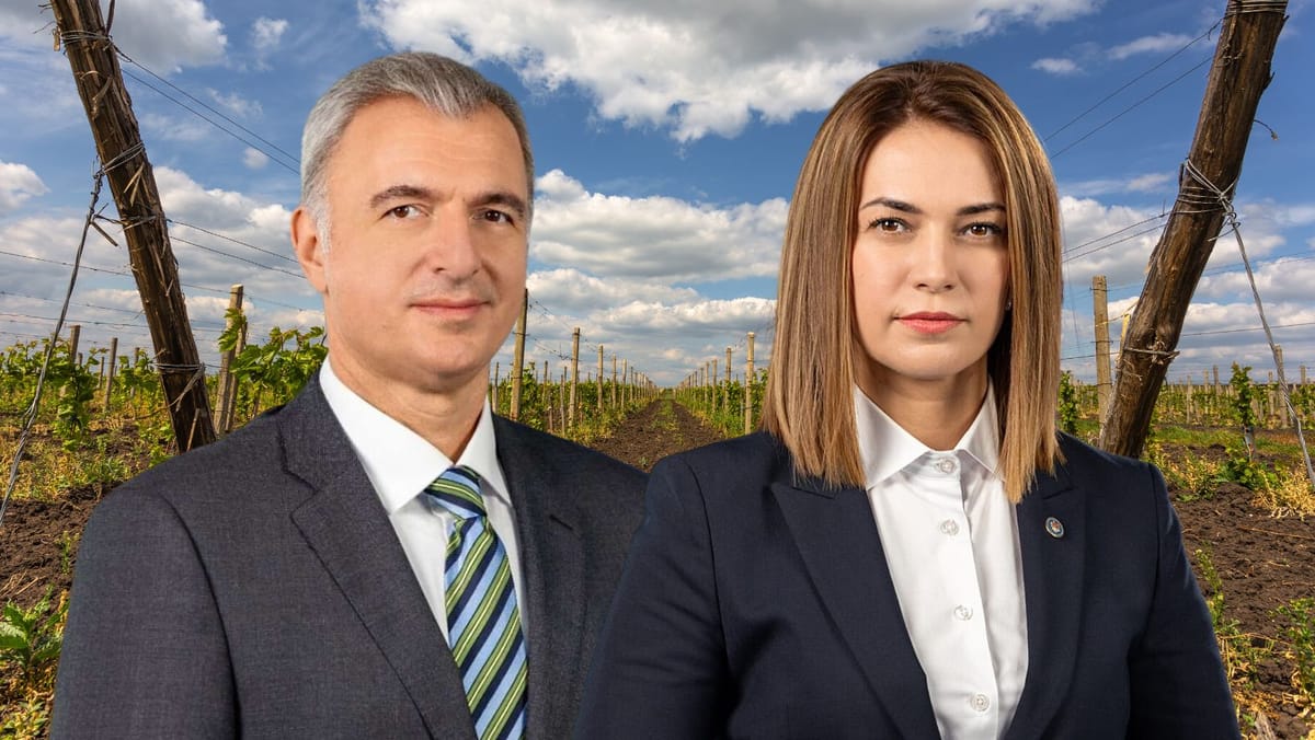 Chișinăul respinge existența unui embargo pentru vinurile moldovenești în Ucraina: „Căutăm soluții pentru a debloca situația”