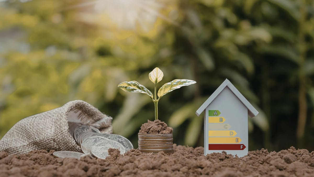 Energia regenerabilă a acoperit aproape 79% din consumul de electricitate la prânz