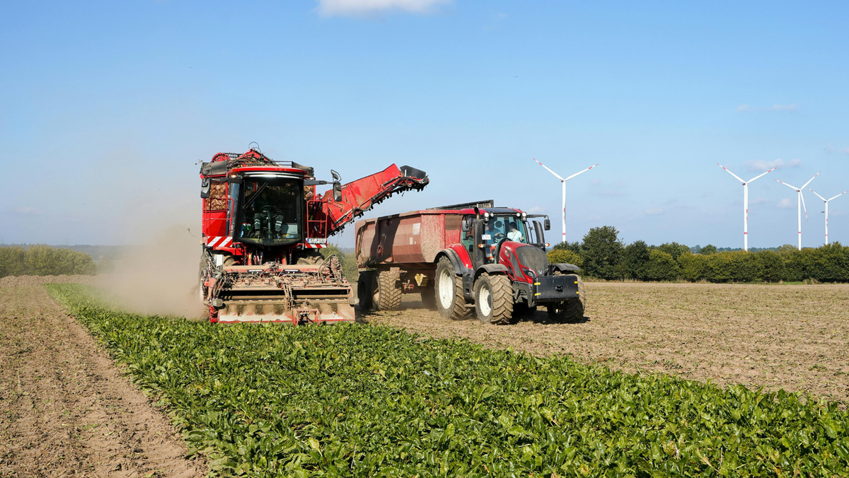 Peste 65 de milioane de lei - autorizați pentru subvenții agricole în doar cinci zile