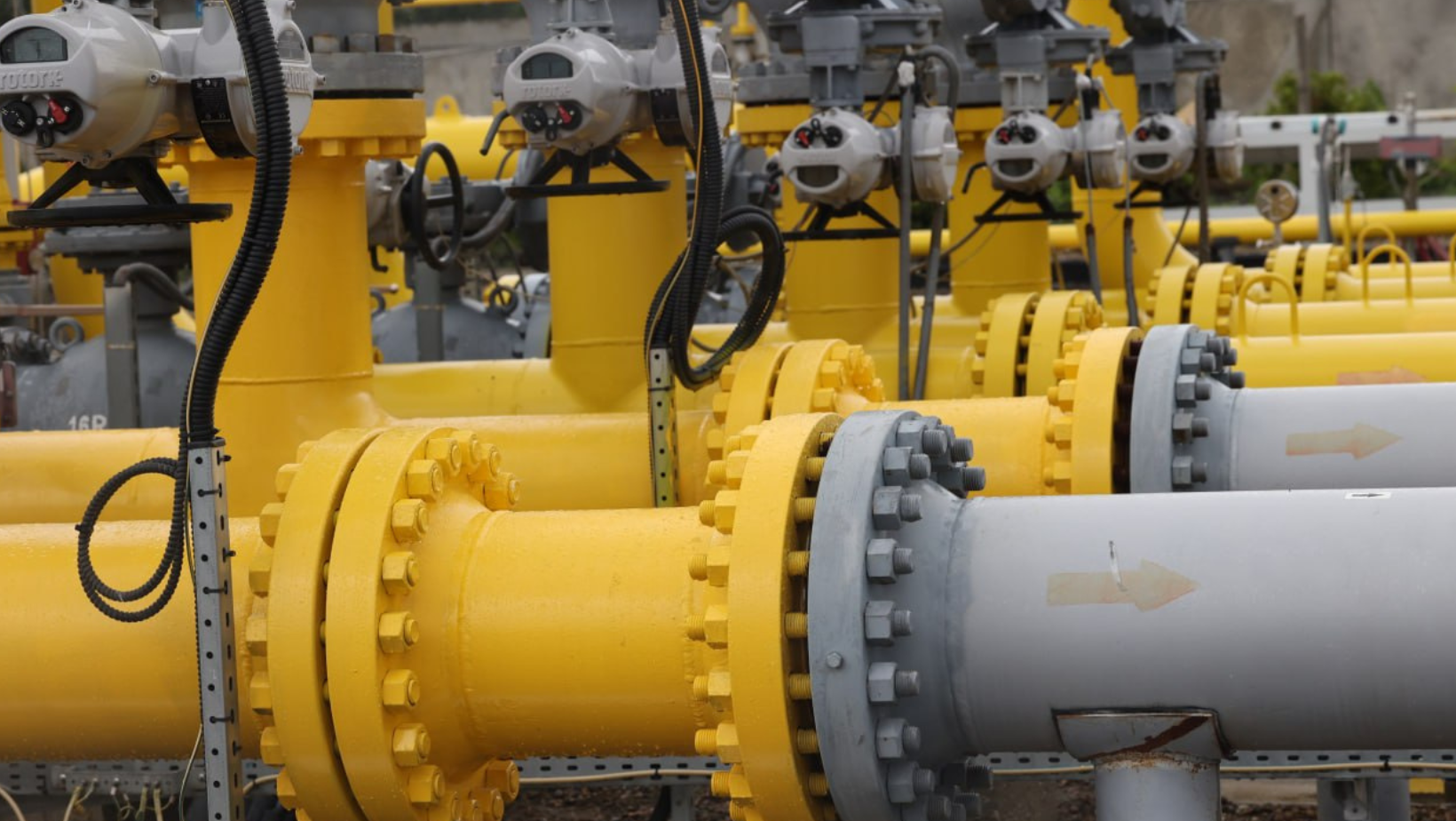 193 din 203 companii au trecut pe piața liberă a gazelor naturale