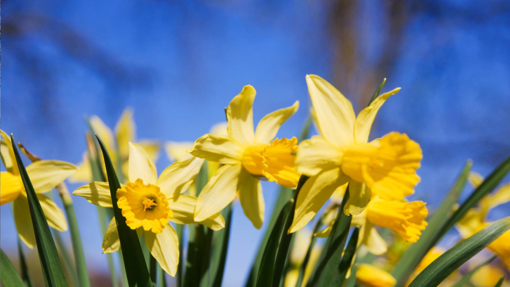 Prognoza meteo pentru weekend: vreme caldă și maxime de până la +16°C