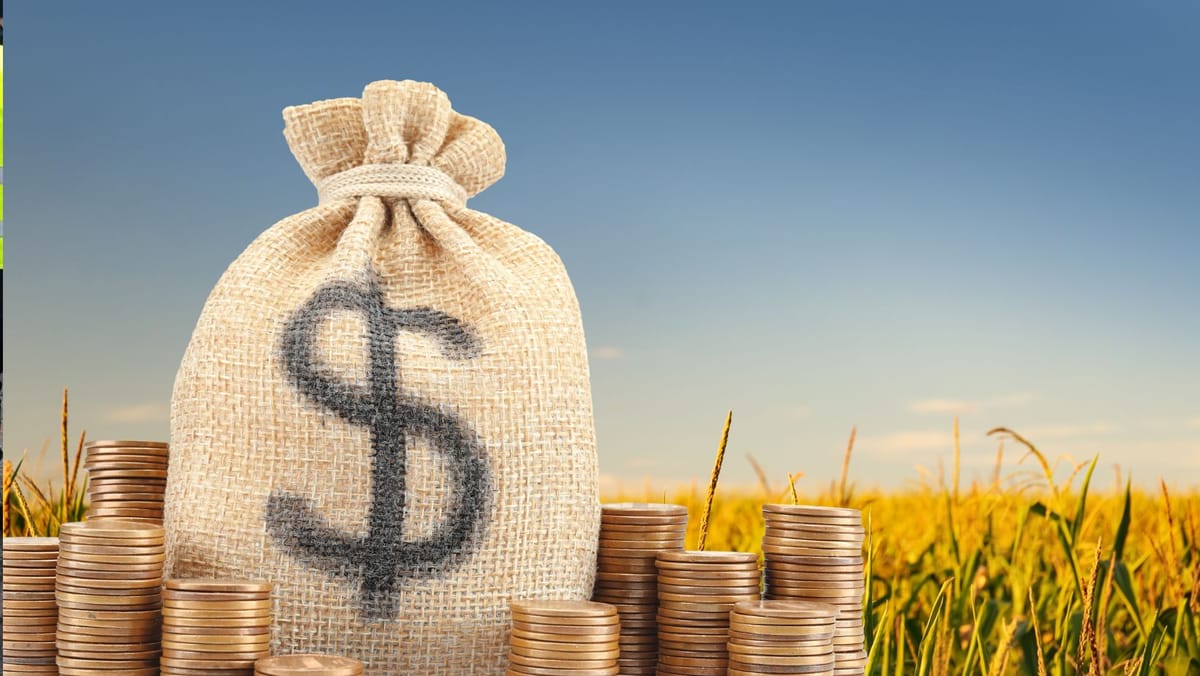 Zootehnie, legume și culturi de nișă - granturi de până la un milion de dolari pentru fermieri