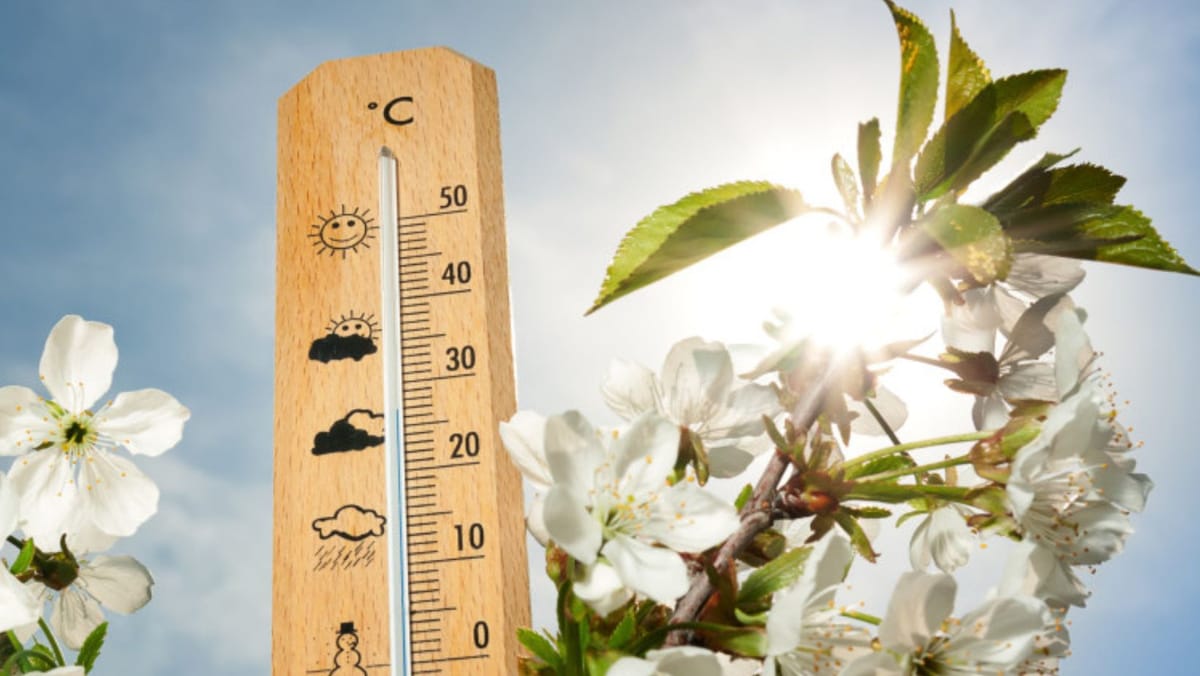 Prognoza meteo/ Cum va fi vremea de Paștele Blajinilor