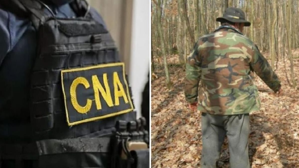 „Loc de muncă la pădure, contra bani”. Percheziții CNA într-un dosar de angajări la „Moldsilva”
