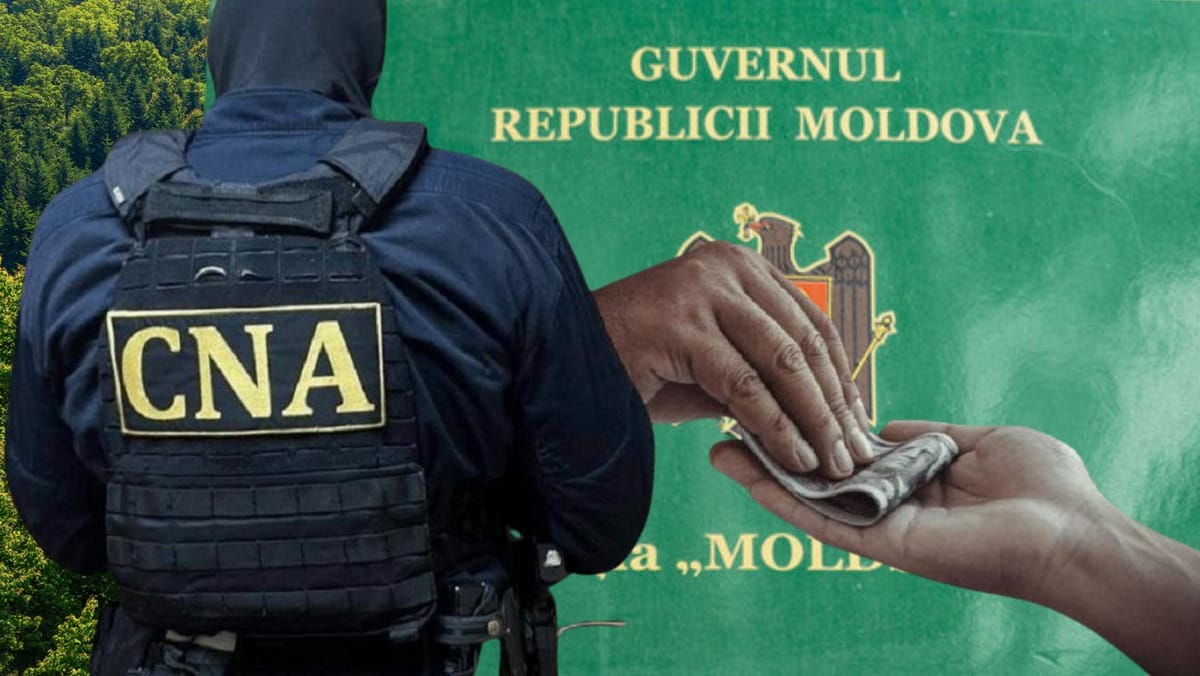 Reacția „Moldsilva” după perchezițiile CNA: Suspecții nu sunt angajați ai instituției