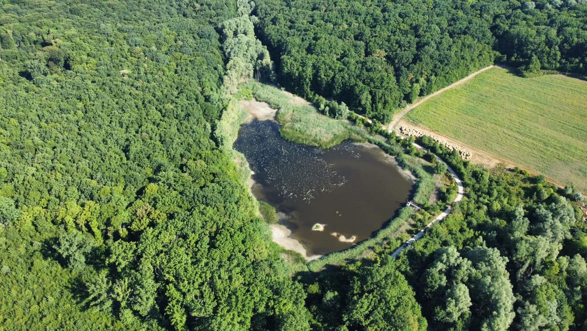 Drumul spre Rezervația „Plaiul Fagului” va fi reabilitat. Contractul pentru începerea lucrărilor, semnat