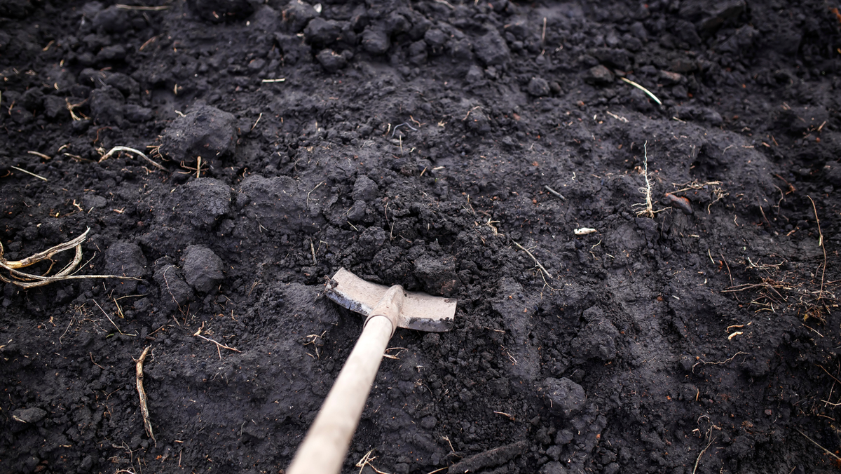 Poliția: Cheltuielile pentru exhumare și expertiză în cazul Ludmilei Vartic sunt acoperite de stat - familia însă adună bani