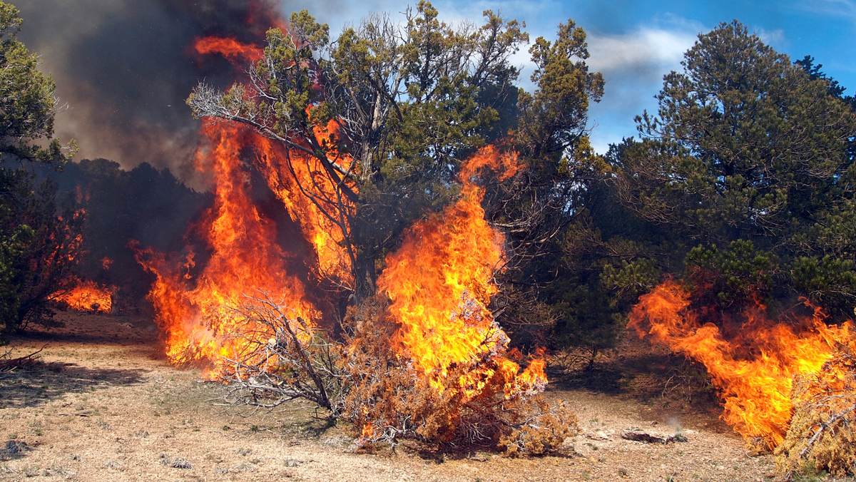 IGSU avertizează: reguli de siguranță pentru minivacanța de 1 Mai