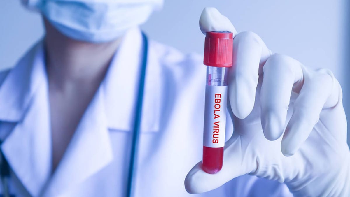 OMS declară focarul de Ebola din Congo și Uganda drept urgență internațională de sănătate