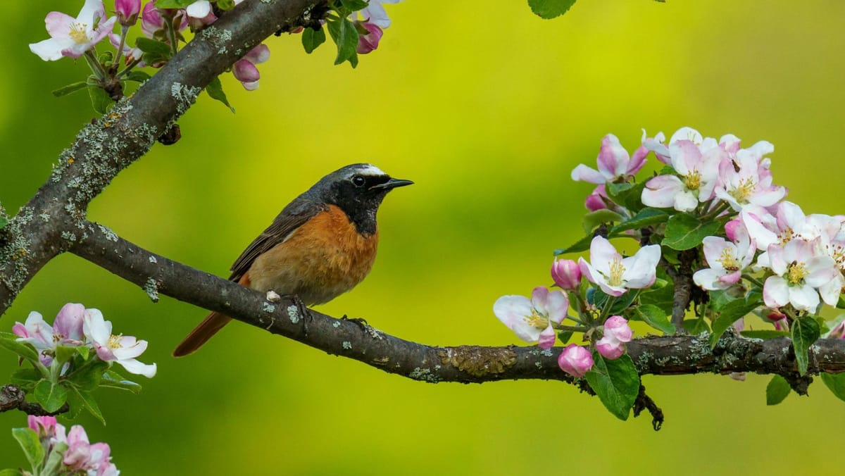 Fără ploi, dar cu temperaturi modeste. Cum va fi vremea astăzi