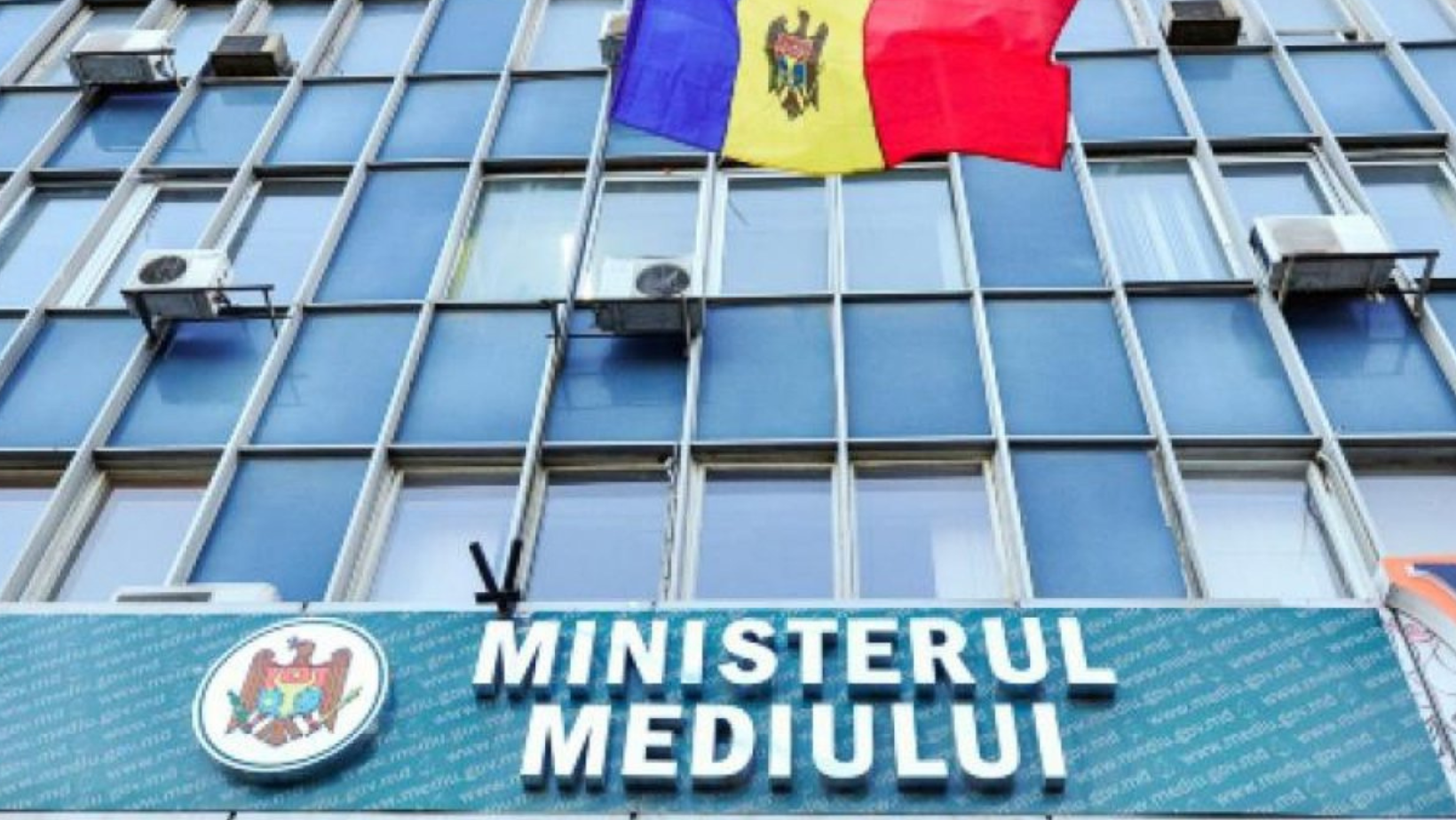 Ministerul Mediului, sub lupa auditorilor: erori de miliarde în contabilizarea pădurilor: 337 de mii de hectare, neevaluate