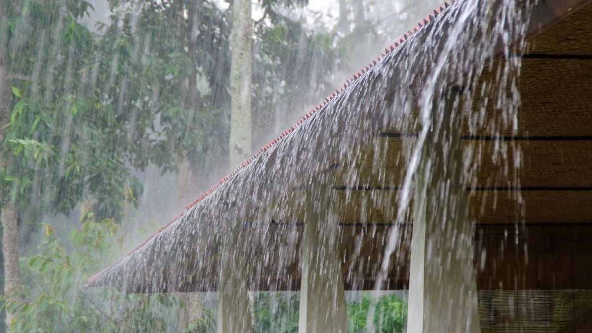Cod galben de ploi puternice emis de meteorologi pentru 2 iunie