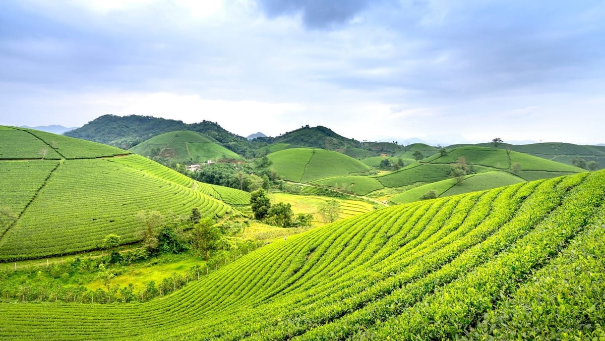 Noul Program Strategic al Politicii Agricole 2026-2030 a intrat în vigoare: sprijin extins pentru fermieri și investiții