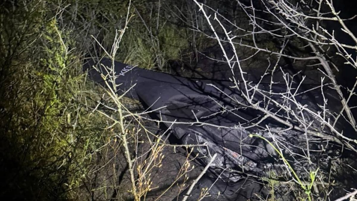 Drona prăbușită în raionul Căușeni conține 40 de kilograme de explozibil, cu schije. Aparatul va fi detonat controlat