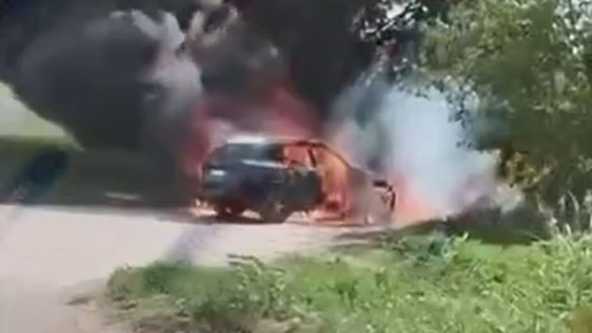 VIDEO/ Ginerele antreperenorului Vasile Gajiu ar fi fost victima unui atac tâlhăresc. Precizările Poliției