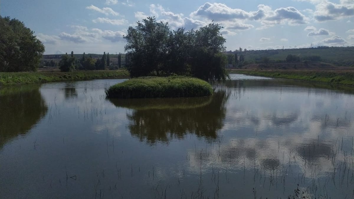 Reguli noi pentru lacurile date în arendă. Cine nu le îngrijește corespunzător riscă să piardă contractul