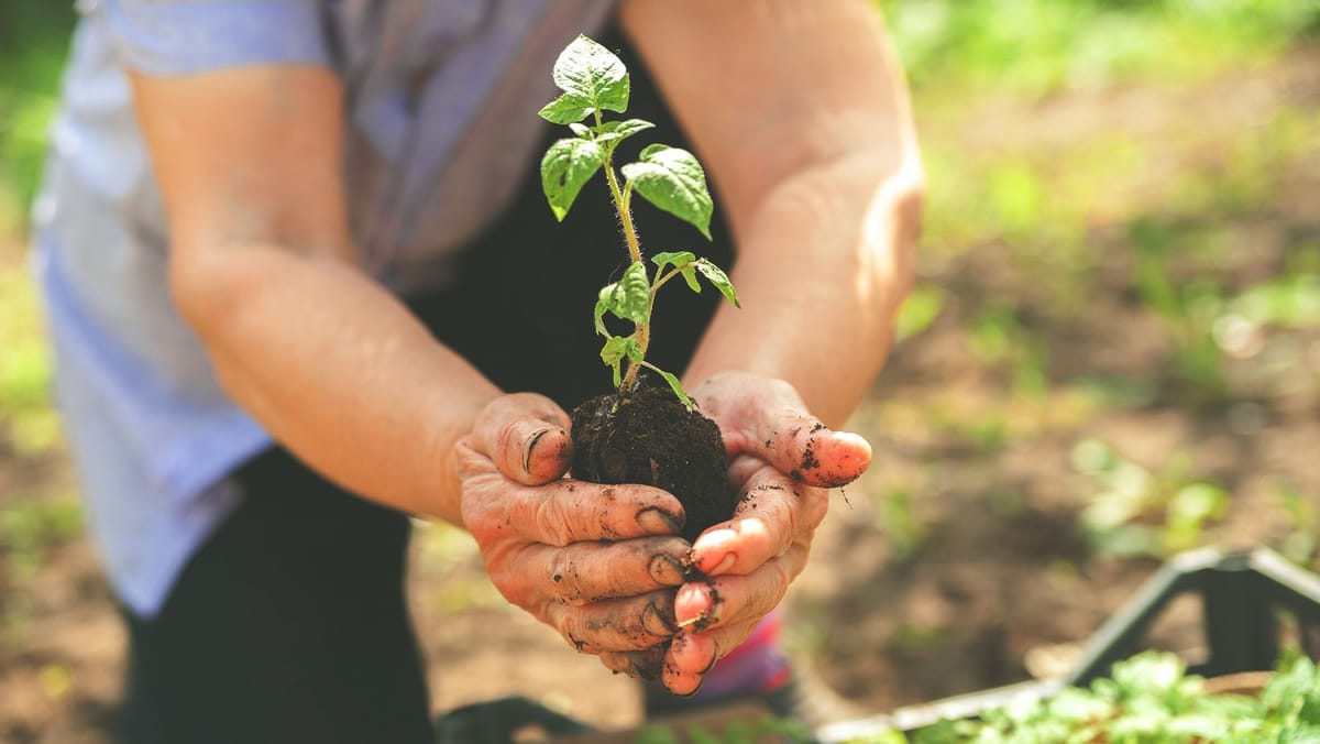 AIPA a dat undă verde pentru plăți de 17,49 milioane de lei. Cele mai multe fonduri merg către proiecte locale