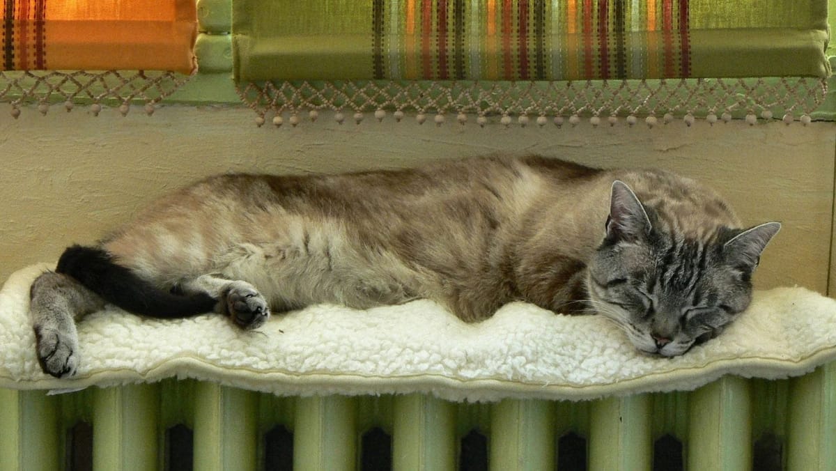 Pregătiri pentru sezonul rece la Bălți: CET-Nord începe curând umplerea sistemului de încălzire