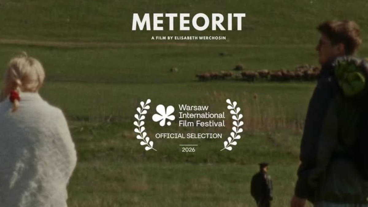 Scurtmetrajul „Meteorit”, filmat în satul Căinarii Vechi, a câștigat trei premii la un festival internațional din Varșovia
