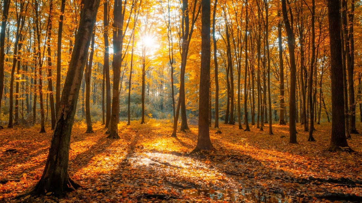 Sfârșit de weekend cu vreme caldă în toată țara. În câteva raioane sunt prognozate ploi slabe