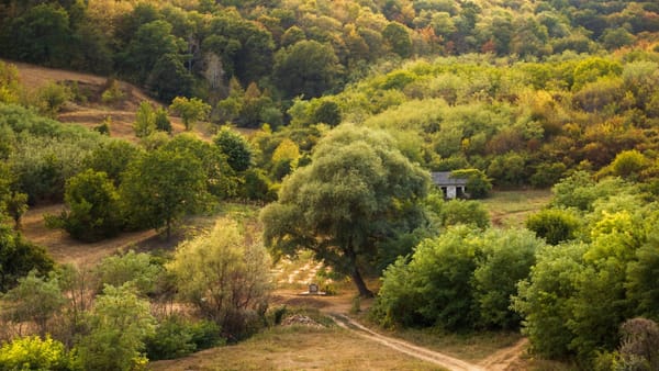 Vreme frumoasă și maxime de +33 de grade Celsius. Prognoza meteo pentru ziua de 23 iulie