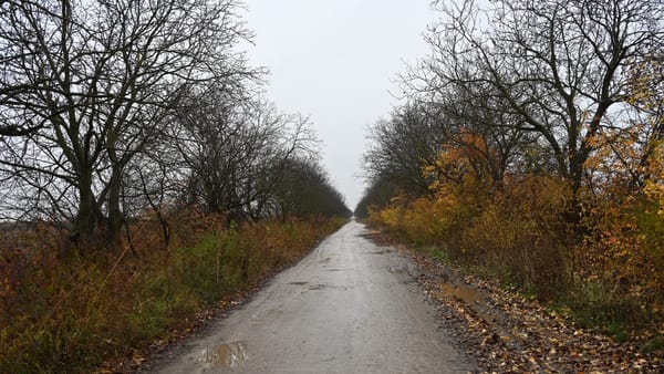 Ploi și vreme posomorâtă în toată țara. Temperaturile maxime vor urca până la +12 grade Celsius