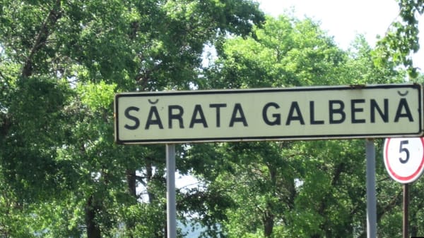 Cadavrul unui bărbat dispărut vara, găsit într-o pădure din raionul Hîncești. Ce spune Poliția