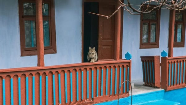 Ziua de 20 decembrie se anunță a fi răcoroasă: Mercurul din termometre nu va urca mai sus de +4°C