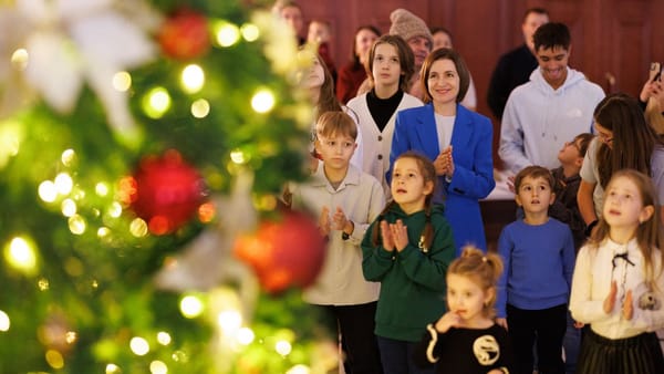 Până pe 15 ianuarie, cetățenii pot admira bradul de la Președinție. În ce interval orar sunt permise vizitele