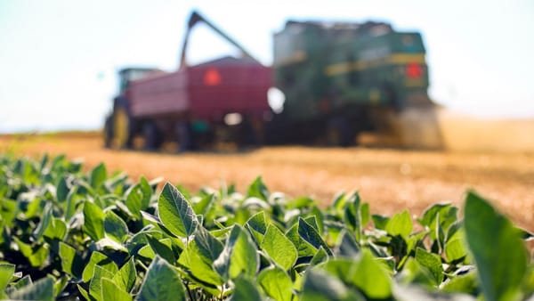 Ministerul Agriculturii lansează un sondaj public pentru identificarea nevoilor sectorului agroalimentar