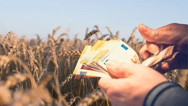 Fermierii au năvălit cu cereri pentru a lua credite agricole ieftine: 250 de afaceri finanțate în 9 luni