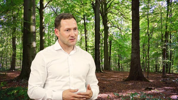 Hoții de lemne nu se mai tem de amenzi. Ministrul Mediului vorbește despre „curățarea” sistemului și sancțiuni mult mai dure